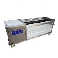 Fruit Washer Vegetable Washing Potato Washer Machine For Sale